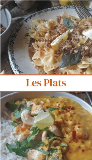 Miniature : Mes Recettes Végétariennes