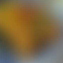 Bánh xèo express à la galette de riz