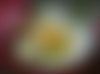 Oeuf cocotte aux asperges vertes de printemps