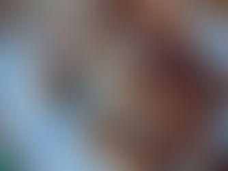 Ballotines de Poulet Farcies à la Brunoise de Carottes et Champignons de Paris