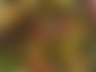 🥭 Salade thaïe à la mangue verte, poulet et cacahuètes (Green mango Salad with chicken)