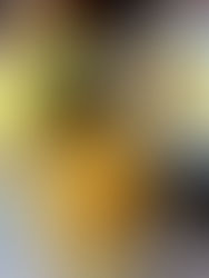 🍂 Confiture de coings maison : le trésor doré de l’automne