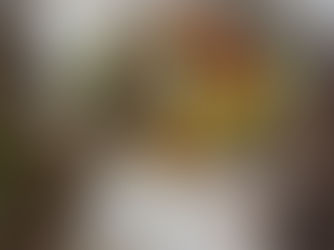 Wraps faits maison : le sandwich roulé qui nous fait voyager