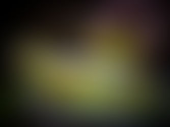 Salade printanière de sucrine, fèves et petits pois, huile infusée aux fleurs de sureau