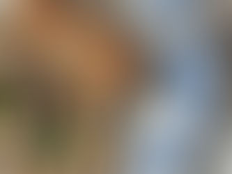 🍄 Blancs de poulet à la crème et aux champignons