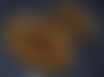 Terrine de lapin à l'armagnac