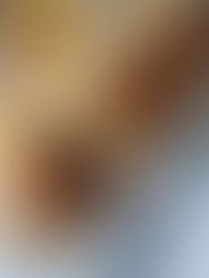 🍌 Flan banane–coco au caramel brun