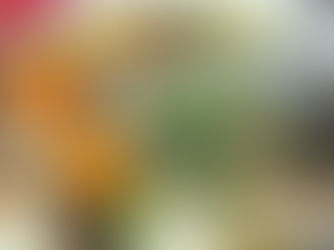 Bouillon entre 2 réveillons avec les restes de la dinde de Noël