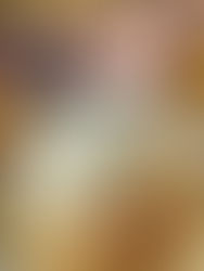 🐚Coquilles Saint-Jacques à la crème de safran du Gers : une recette festive et locale