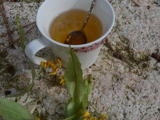 🌿 Gelée de tilleul