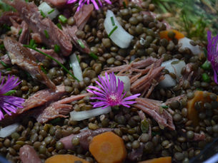 🥗 Salade de lentilles & effiloché de confit de canard