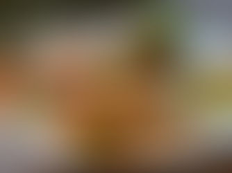 Brochettes de poisson