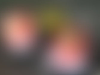 GRANITE VODKA CITRON VERT