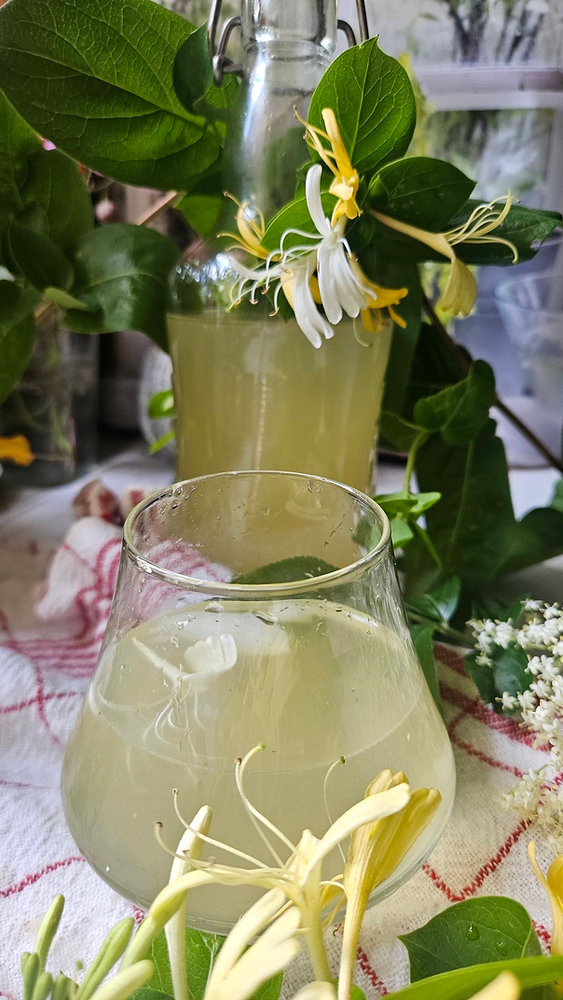 🌼🍋 Pétillant Sureau & Chèvrefeuille