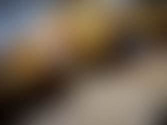 Quiche aux cœurs d'artichauts