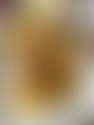 🐟 Médaillons de lotte aux endives braisées et jus d’orange : une recette légère et parfumée