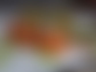 Seuls les Sots l'y laissent..., le Sot-l'y-laisse !