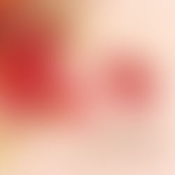 🐎🔥 2026 : L’Année du Cheval de Feu – Significations, traditions et recettes pour célébrer le Nouvel An chinois