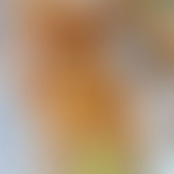 🦐 Gambas flambées au fenouil sauvage : un parfum d’été dans votre assiette ☀️