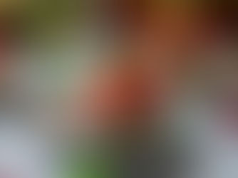 Nids de Pâques en meringue, chantilly chocolatée et fraises