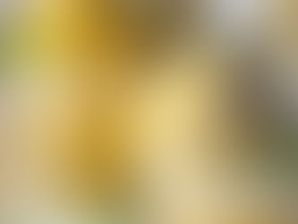 🍋 Citrons givrés maison (sans sorbetière)