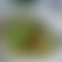 🌿 Aspic printanier aux petits pois, avocat et œuf mollet