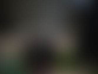 Vin de feuilles de cerisier (apéritif type guignolet)