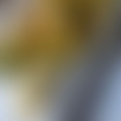 🍃 Tempura de feuilles de plantain lancéolé