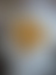 🥔 Pommes noisettes maison – Recette antigaspi avec reste de purée