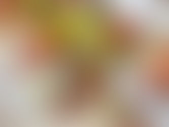 🌿 Brochettes de lotte marinées aux herbes de la garrigue 🌿