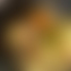 🐖 Sauté de porc aux légumes racines : le plat réconfortant et économique de la saison froide