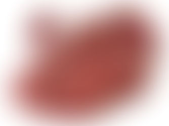 Osez les abats ! Une cuisine de tradition, de goût et de bon sens