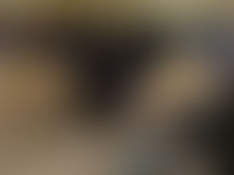 🦆 Marchés au gras du Gers : le rendez-vous des gourmets de fin octobre à mars