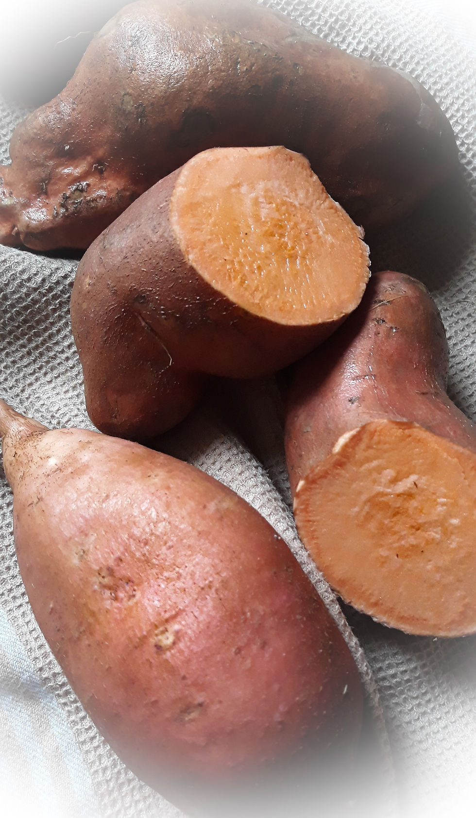 patates douces