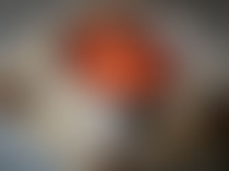 Compotée de pêches aux épices