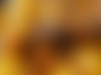 🍀 Irish Stew au Bœuf & Guinness