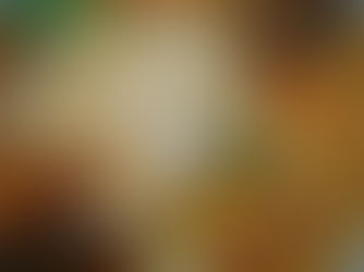 Marmite de lieu jaune, moules et crevettes