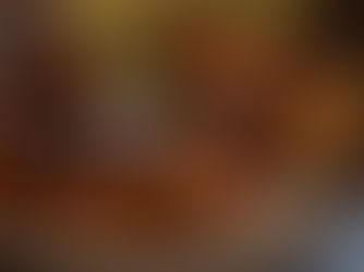 Paupiettes de dinde à la provençale