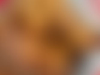 🎄 Lapin de Noël au miel toutes fleurs et pain d’épices