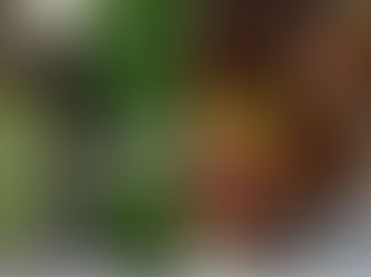 Recettes à base d'ortie, une plante pleine de ressources !