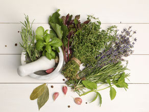 Les bienfaits des herbes aromatiques en cuisine