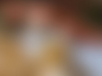 Nems végétariens croustillants : une explosion de saveurs pour l'apéritif ou une garden party 🥢