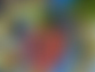 Tartare de bœuf à la française, parfum d’Asie