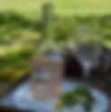 Eau de <mark style="font-style:italic;">Rhubarbe