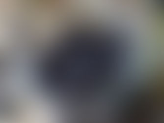 Conserves de mûres au sirop léger