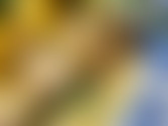 🐓 Poulet à l’estragon