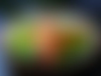 Défi Cuisine : Recettes salées aux agrumes