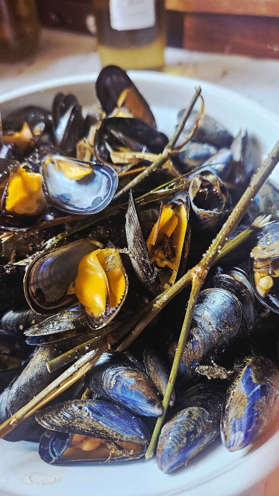 🦪 Moules de bouchot rôties au four au fenouil sauvage : une recette iodée et parfumée