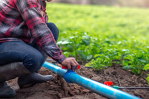 installation website photo .jpeg