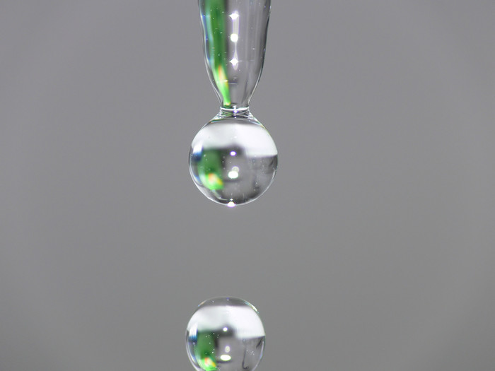WATER. What's In It?